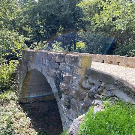 بيت ضيافة Goa - Convent Retreat باغنوريغيو